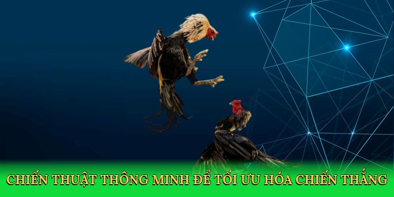 Chiến thuật thông minh để tối ưu hóa chiến thắng