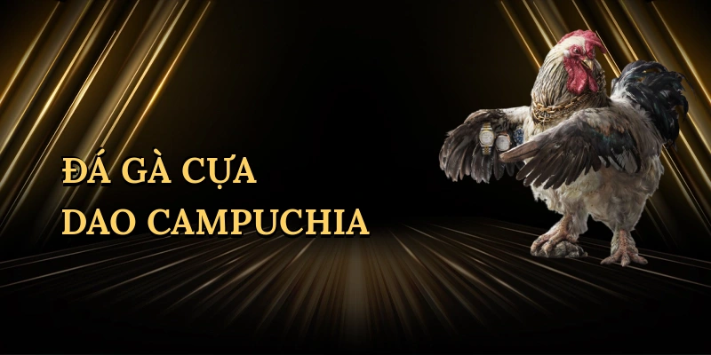da-ga-cua-dao-campuchia-1