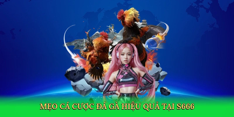 meo-ca-cuoc-da-ga-hieu-qua-tai-s666-4