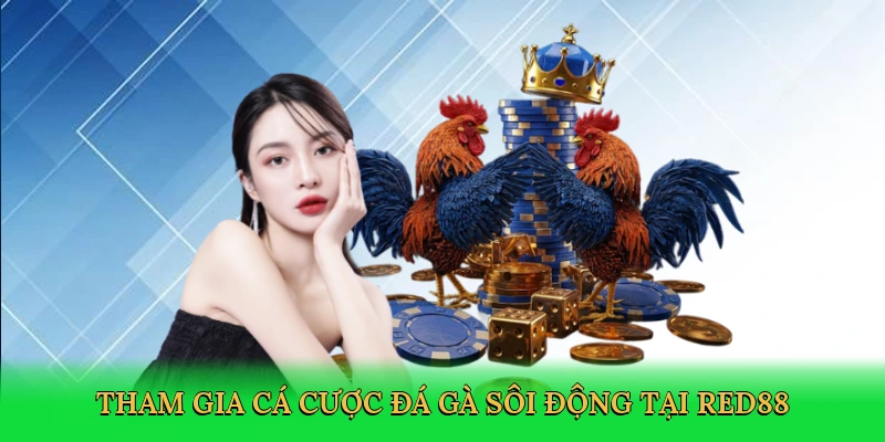 tham-gia-ca-cuoc-da-ga-soi-dong-tai-red88-3