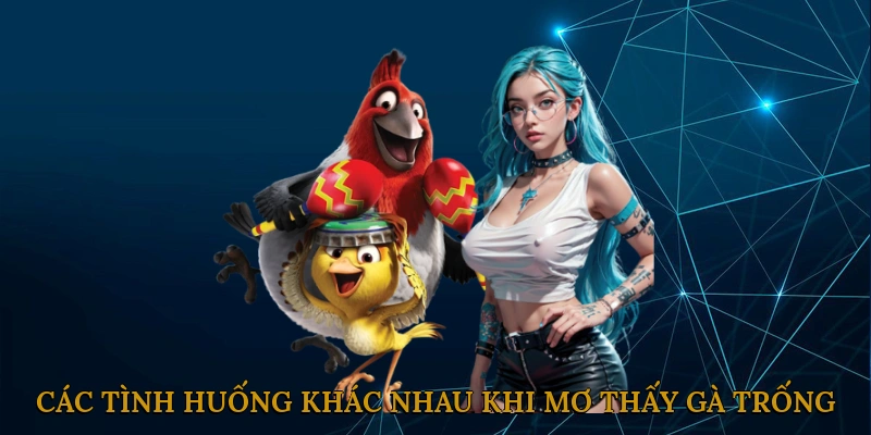 Các Tình Huống Khác Nhau Khi Mơ Thấy Gà Trống