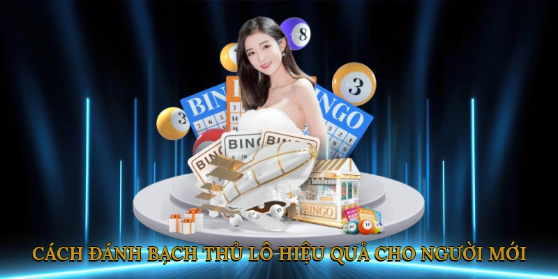 Cách đánh bạch thủ lô hiệu quả cho người mới