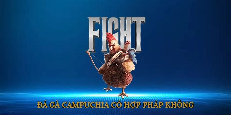 Đá gà Campuchia có hợp pháp không