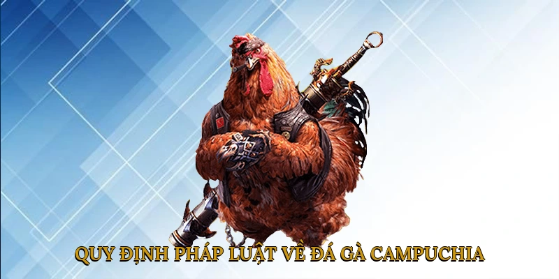 Quy định pháp luật về đá gà Campuchia