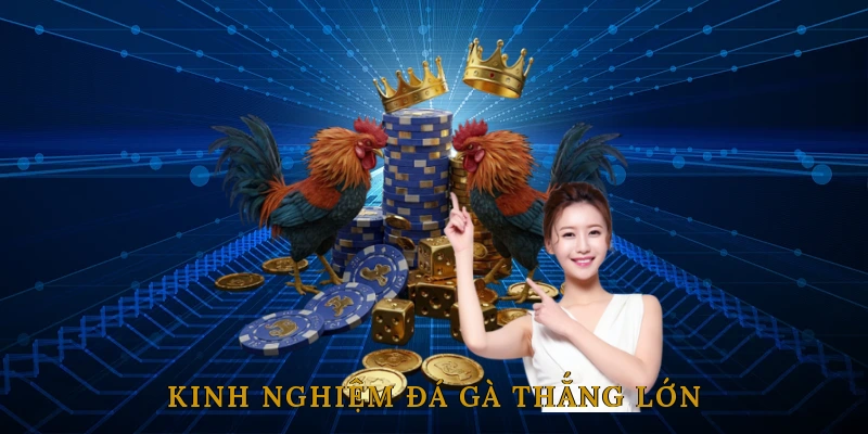 Chiến Thuật & Kinh Nghiệm Đá Gà Thắng Lớn